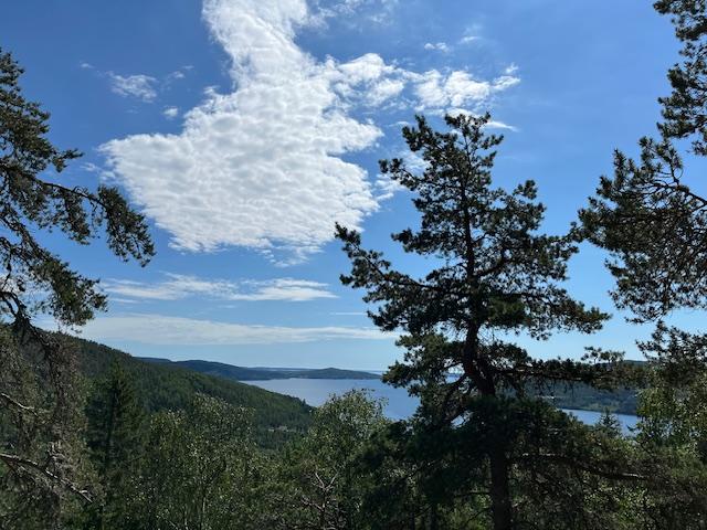 Highcoast Allemandsratten